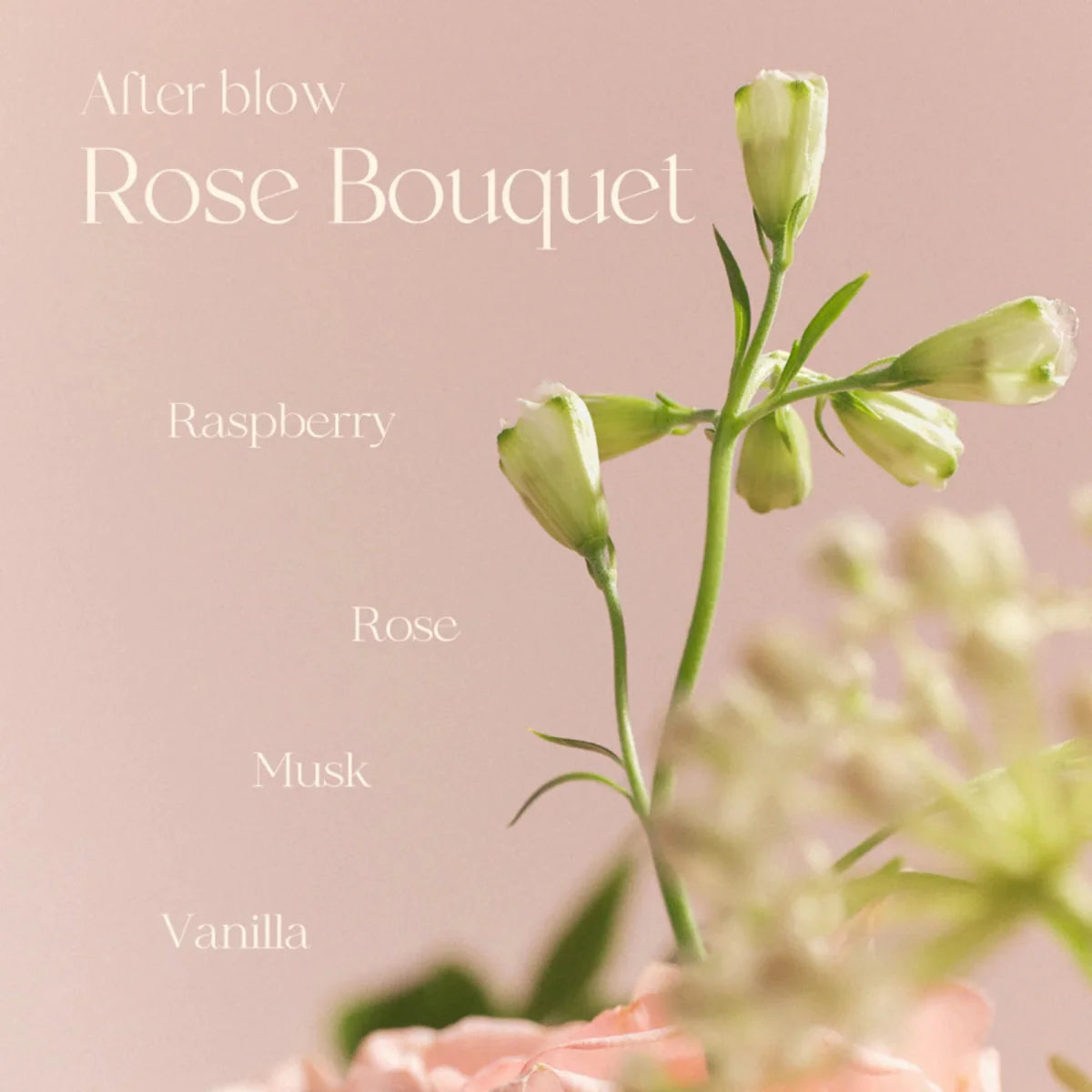 AFTER BLOW Eau De Perfume 25ml - 05 Rose Bouquet Health & Beauty oceanbuy beauty markham toronto free ship USA asian korean skincare