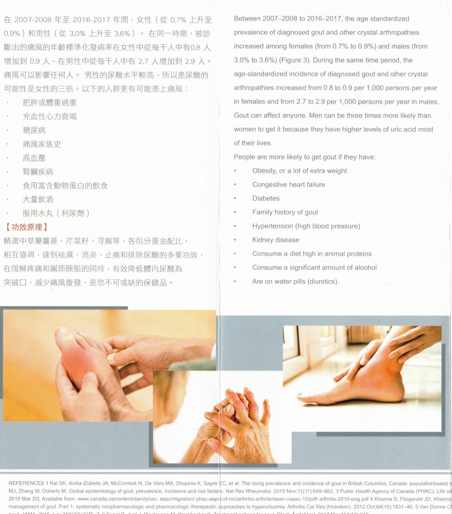 Gout Relief Capsules (Tong Feng Ling) NPN80106062 Health & Beauty oceanbuy.ca markham toronto free ship USA asian korean skincare