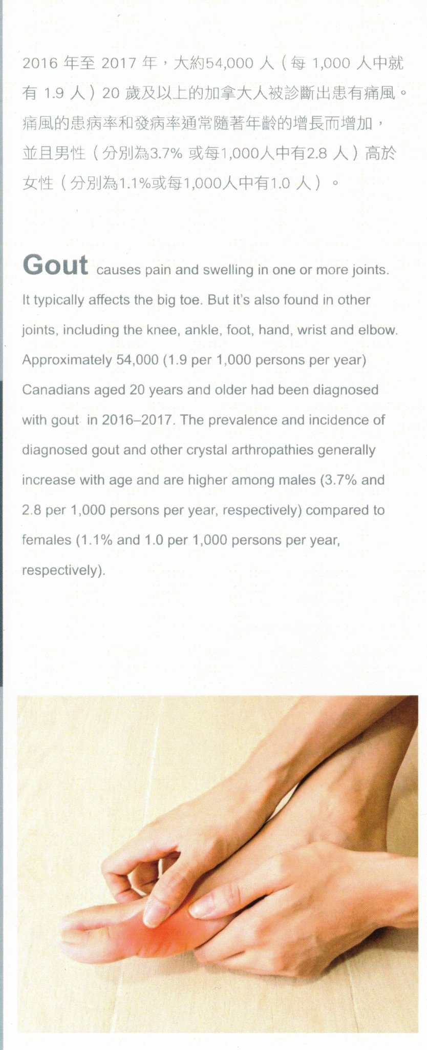 Gout Relief Capsules (Tong Feng Ling) NPN80106062 Health & Beauty oceanbuy.ca markham toronto free ship USA asian korean skincare