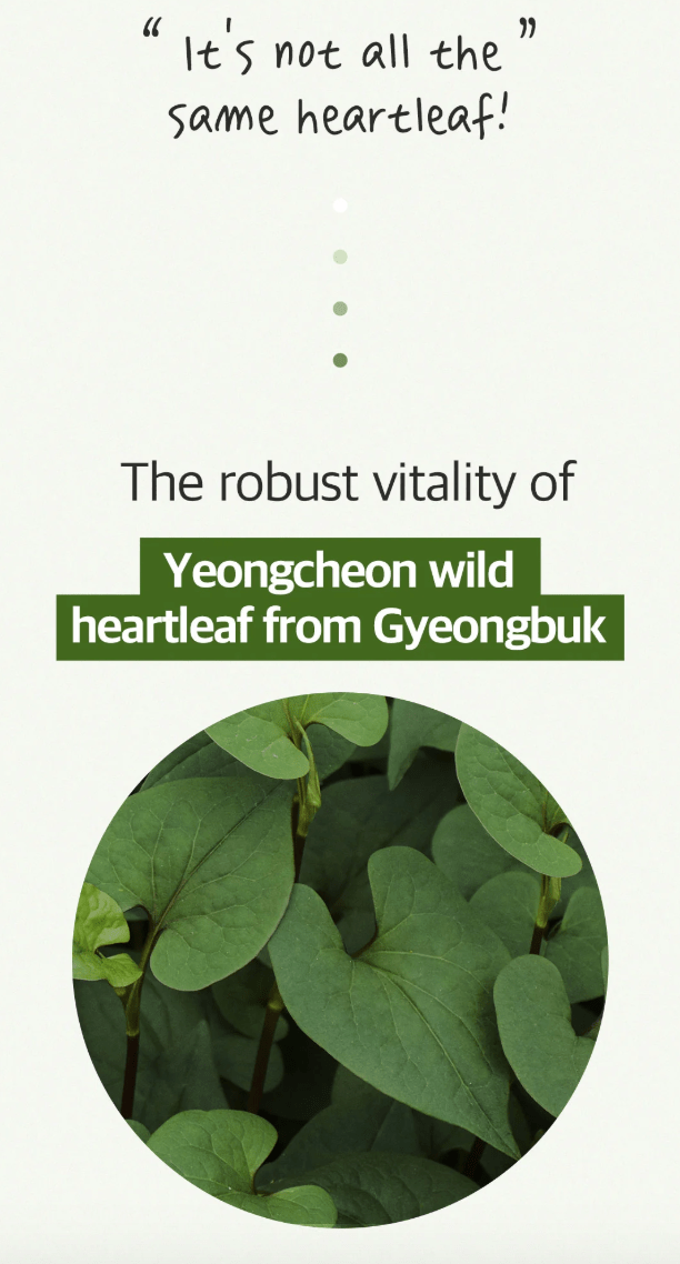 ARIUL 7 Days Mask 1Pcs - Heartleaf P Health & Beauty oceanbuy beauty markham toronto free ship USA asian korean skincare