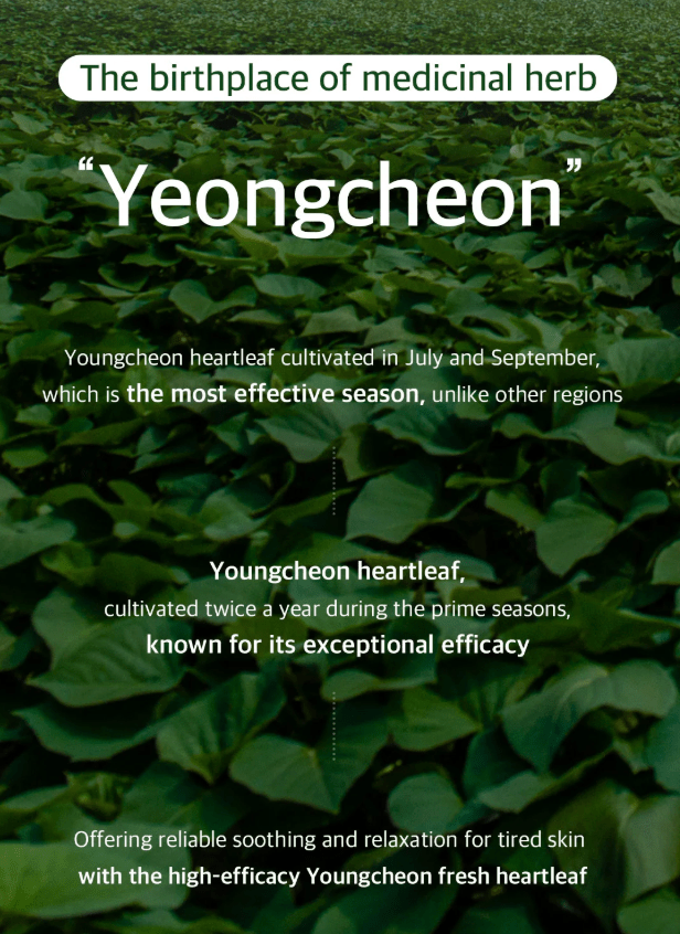 ARIUL 7 Days Mask 1Pcs - Heartleaf P Health & Beauty oceanbuy beauty markham toronto free ship USA asian korean skincare