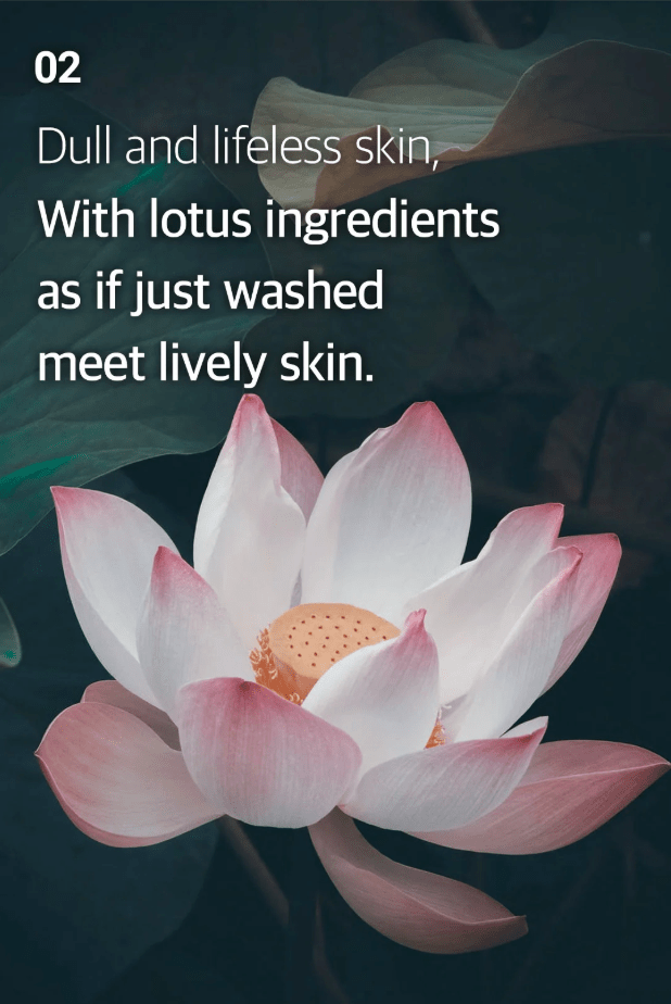 ARIUL 7 Days Mask 1Pcs - Lotus N Health & Beauty oceanbuy beauty markham toronto free ship USA asian korean skincare