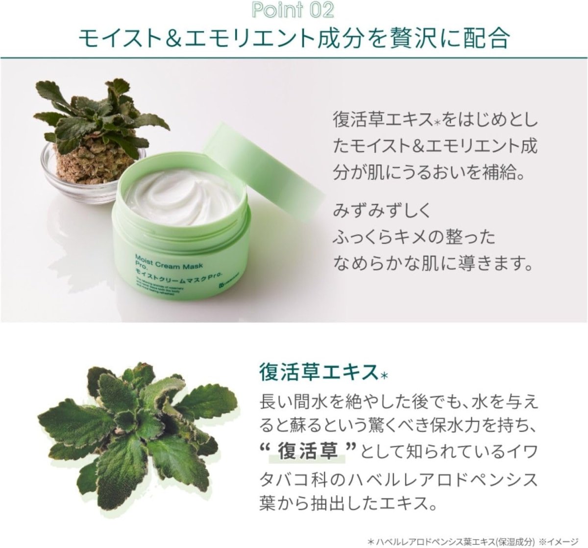 BB LABORATORIES Moist Cream Mask Pro 175g Health & Beauty oceanbuy beauty markham toronto free ship USA asian korean skincare