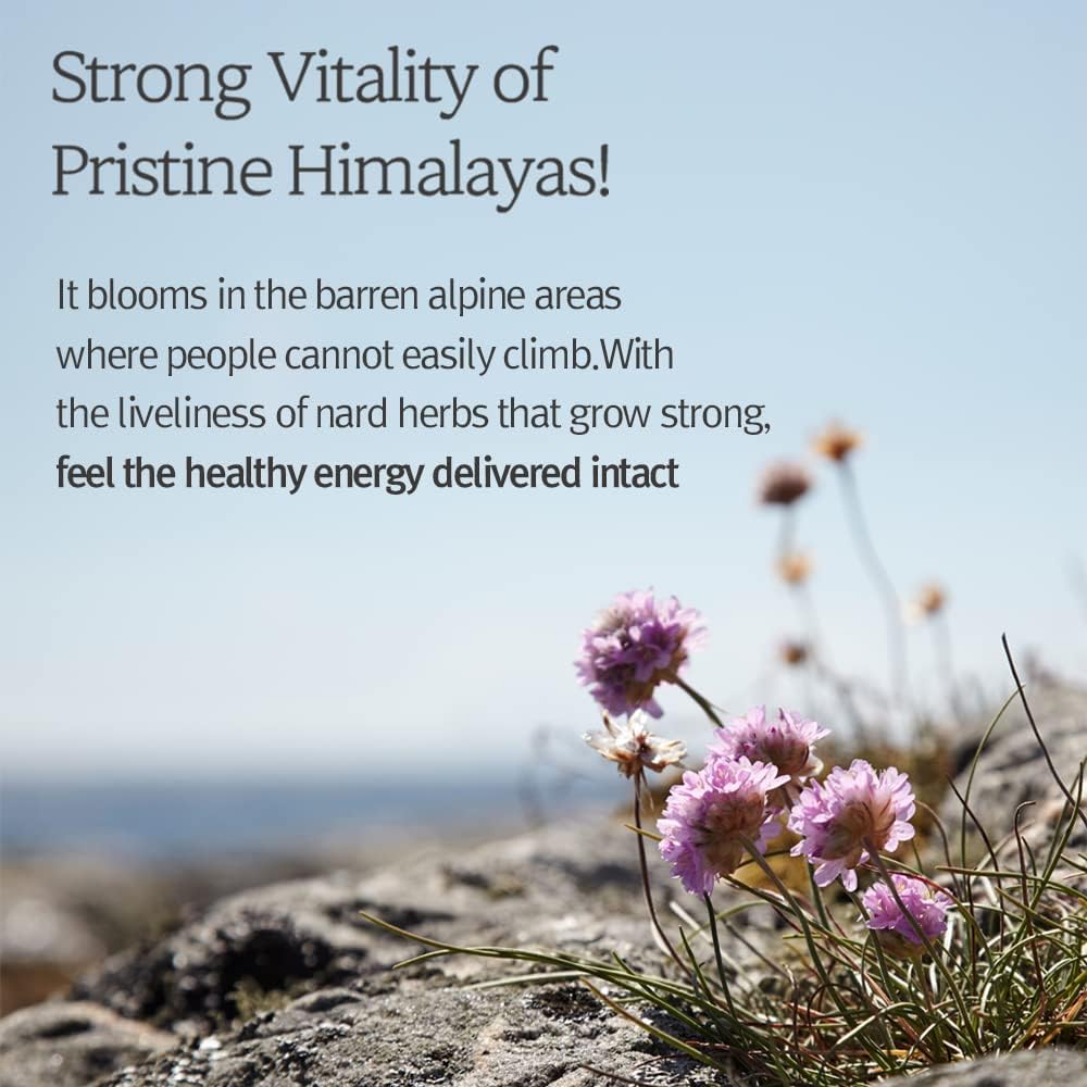 BOUQUET GARNI Nard Body Wash 500ml - Tea Tree Rosemary Health & Beauty Kbeauty markham toronto free ship USA asian korean