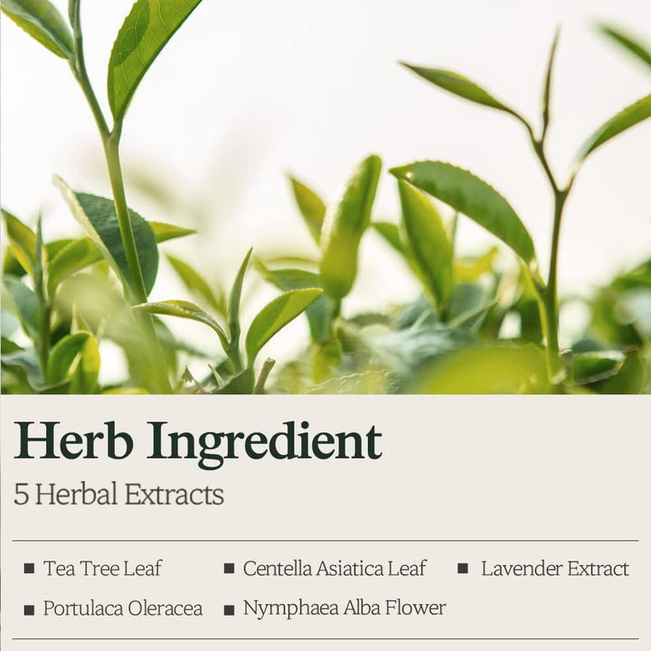 BOUQUET GARNI Nard Body Wash 500ml - Tea Tree Rosemary Health & Beauty Kbeauty markham toronto free ship USA asian korean