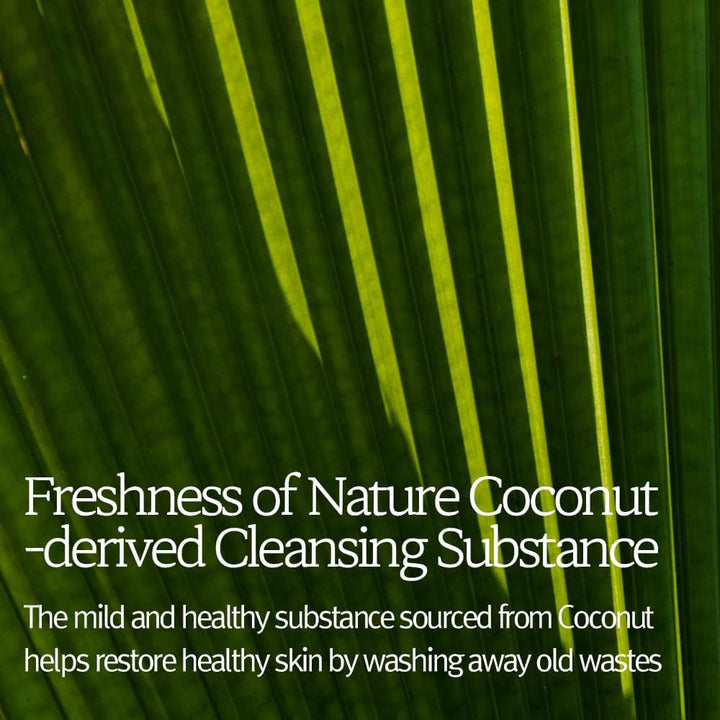 BOUQUET GARNI Nard Body Wash 500ml - Tea Tree Rosemary Health & Beauty Kbeauty markham toronto free ship USA asian korean