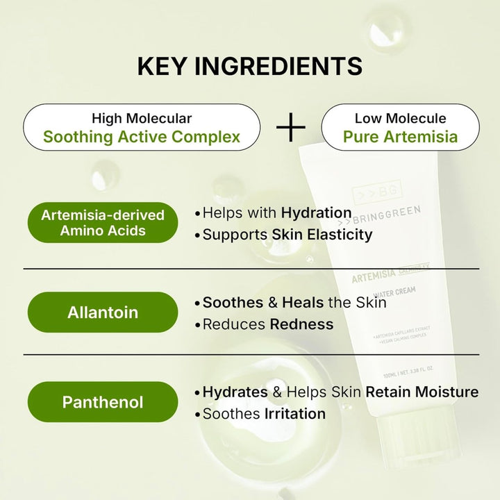 BRING GREEN Artemisia Calming EX Water Cream 100ml Health & Beauty Kbeauty markham toronto free ship USA asian korean