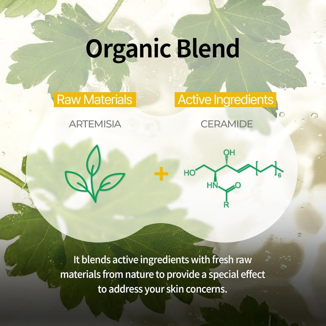 BRING GREEN Artemisia Cera Fresh Mask 10Pcs Health & Beauty oceanbuy beauty markham toronto free ship USA asian korean skincare