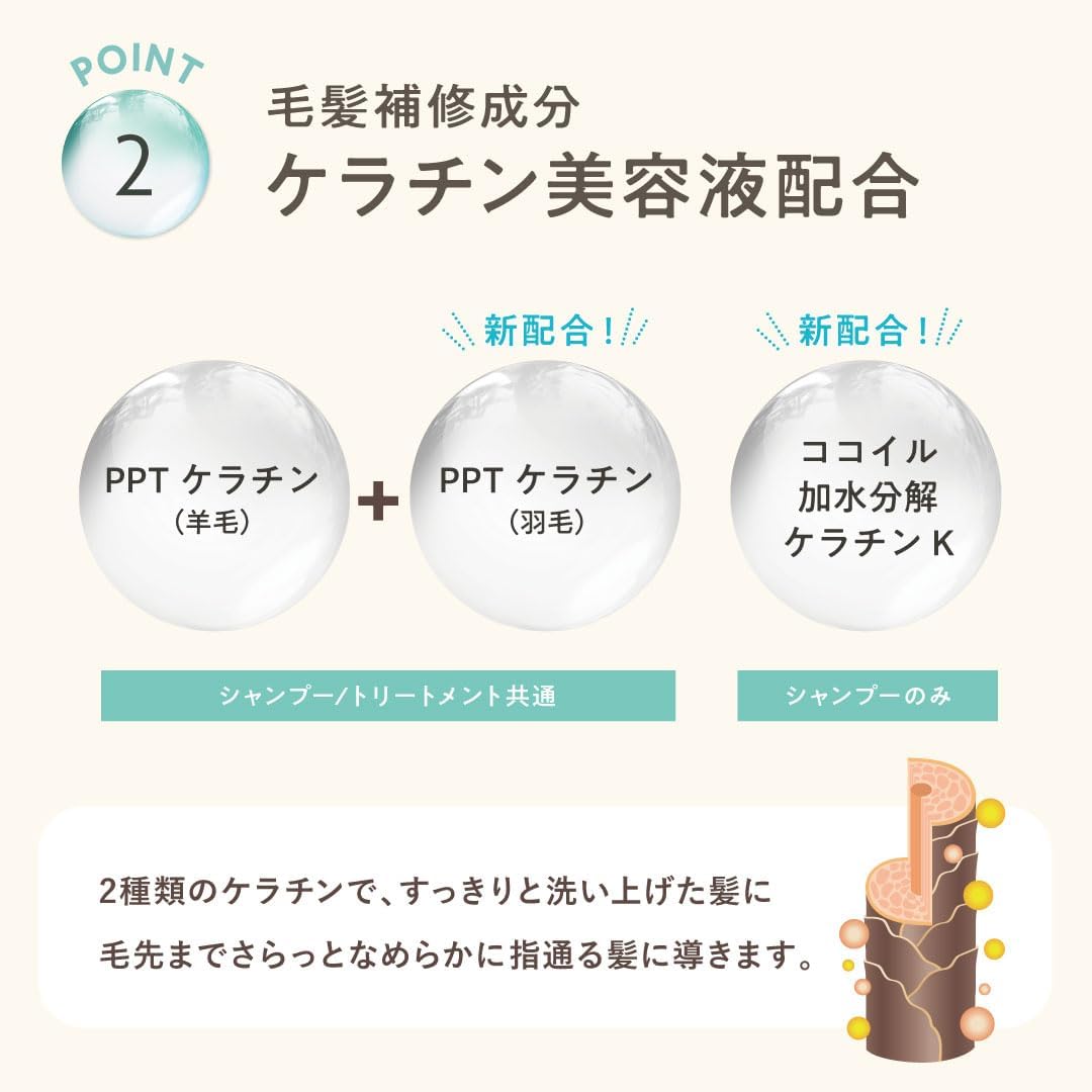 CLAYGE Hair Shampoo SR 500ml Hair Care 5