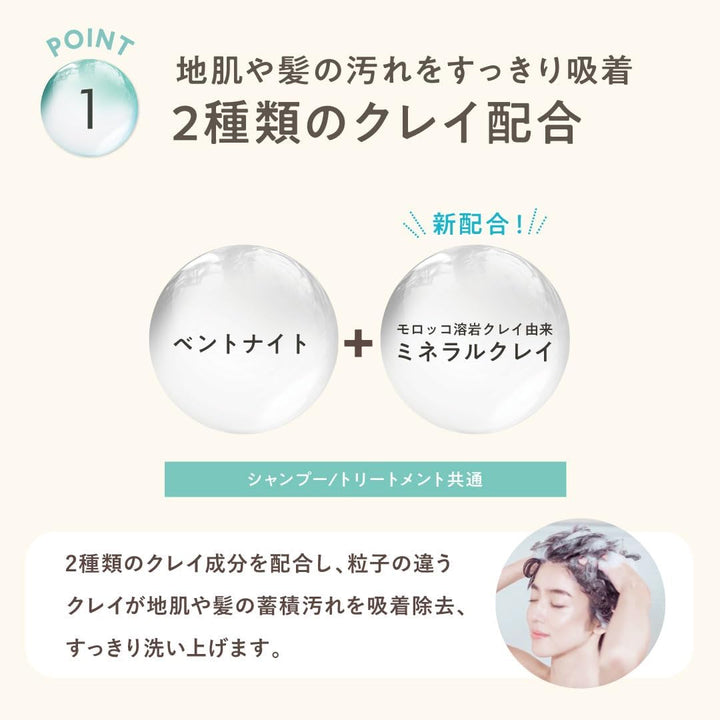 CLAYGE Hair Shampoo SR 500ml Hair Care 4