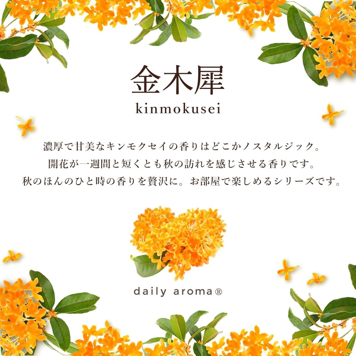 DAILY AROMA Kinmokusei Fragrance Balm 8g Health & Beauty oceanbuy beauty markham toronto free ship USA asian korean skincare