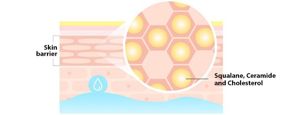 Dr.G Royal Black Snail Ampoule 30ml Ampoule 4