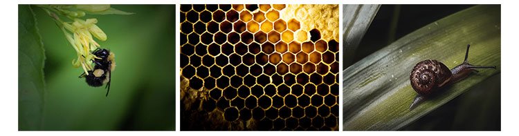 Dr.G Royal Black Snail Ampoule 30ml Ampoule 3