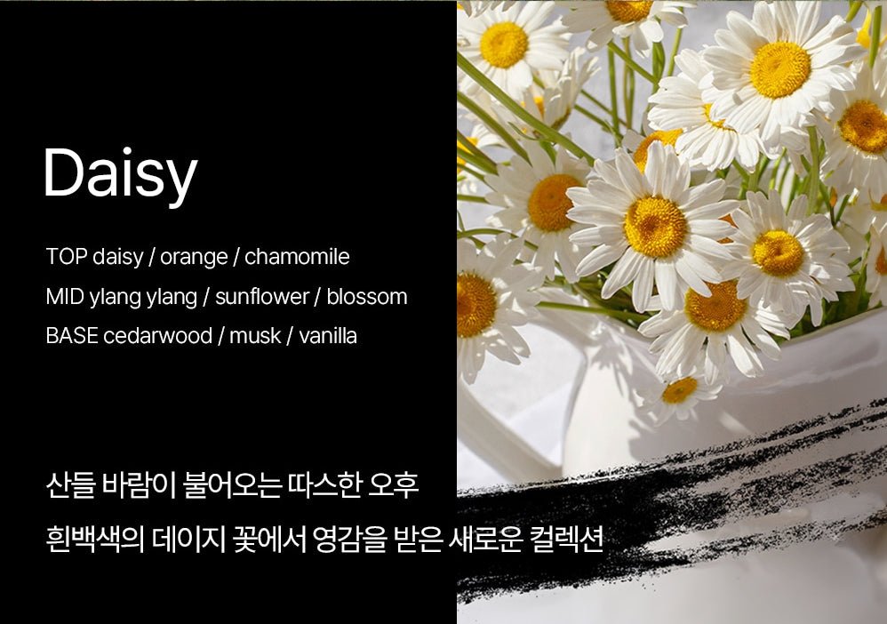 hetras Premium Reed Diffuser Set 500ml*2 - Daisy Health & Beauty