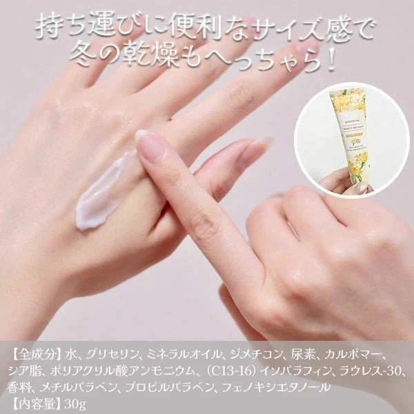 HONYARADOH Hand & Nail Cream 30g - Kinmokusei Health & Beauty oceanbuy beauty markham toronto free ship USA asian korean skincare