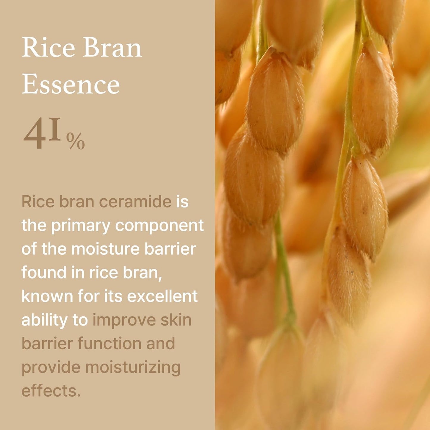 I'M FROM Rice Cream 50ml Health & Beauty oceanbuy.ca markham toronto free ship USA asian korean skincare