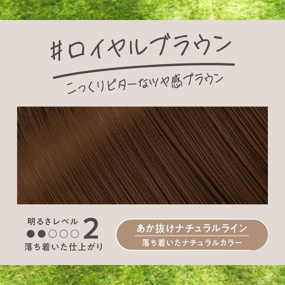 KAO Liese Tint Color Gel 191ml - Royal Brown Hair Care