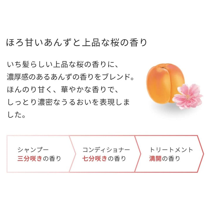 KRACIE ICHIKAMI Dense W Moisturizing Care Hair Care Set 480ml*2 Hair Care oceanbuy beauty markham toronto free ship USA asian korean skincare