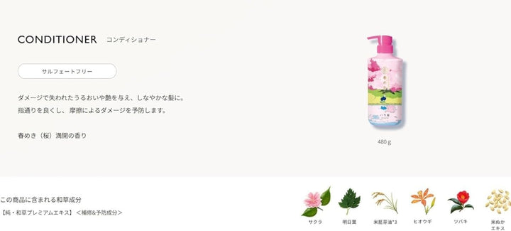 KRACIE ICHIKAMI Hair Care Set Limited Edition 480ml*2 - Spring Scent Hair Care oceanbuy beauty markham toronto free ship USA asian korean skincare