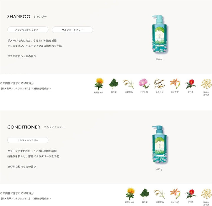 KRACIE ICHIKAMI Hair Care Set Limited Edition 480ml*2 - Cool Japanese Peppermint Scent Hair Care