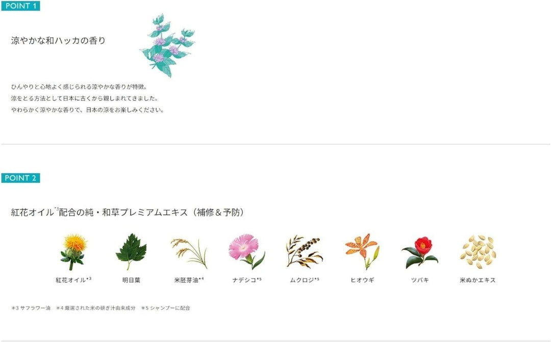 KRACIE ICHIKAMI Hair Care Set Limited Edition 480ml*2 - Cool Japanese Peppermint Scent Hair Care