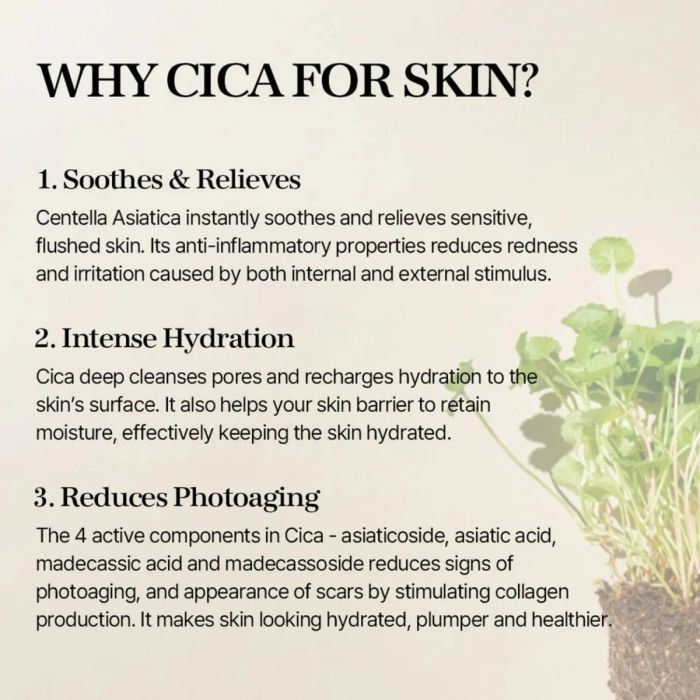 Mixsoon Soondy Centella Asiatica Essence 100ml Serum 3