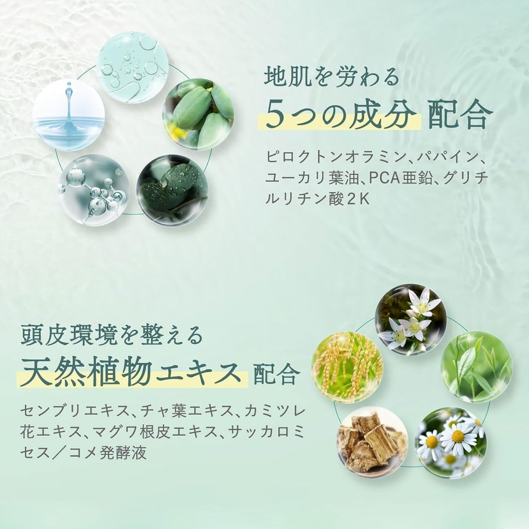 Off & Relax Purifying Scalp Cleanser 150ml Hair Care Kbeauty markham toronto free ship USA asian korean