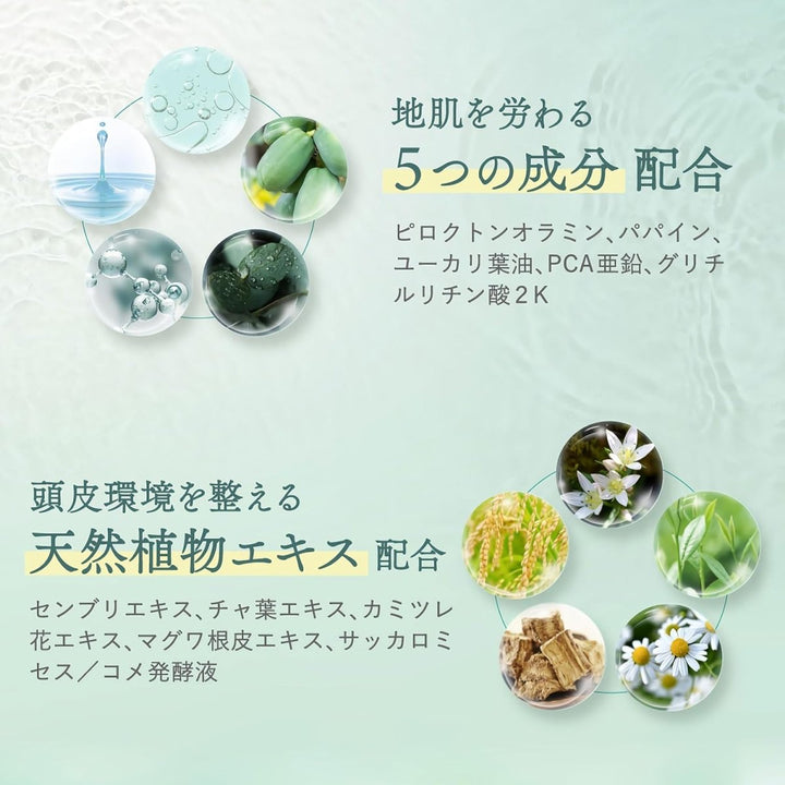 Off & Relax Purifying Scalp Cleanser 150ml Hair Care Kbeauty markham toronto free ship USA asian korean