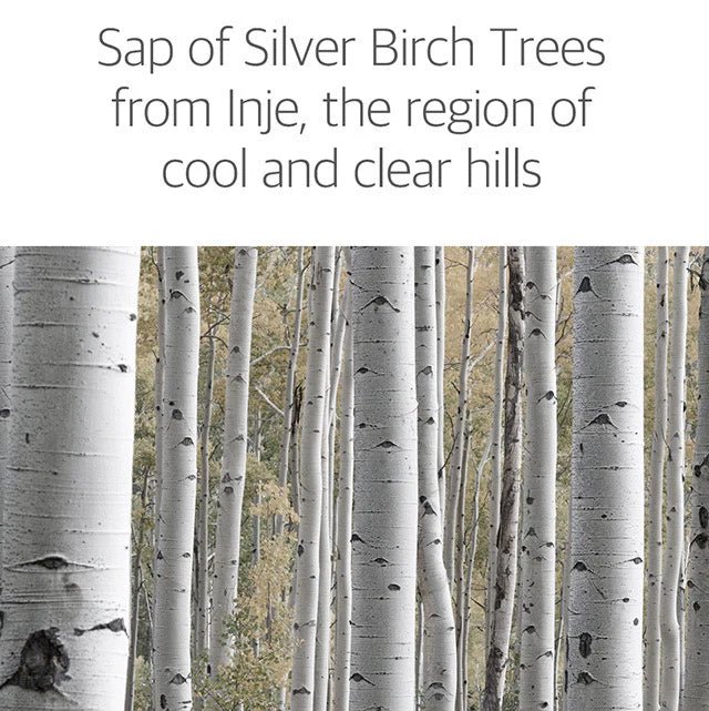 ROUND LAB Juice Birch Moisturizing Serum 50ml Health & Beauty oceanbuy.ca markham toronto free ship USA asian korean skincare