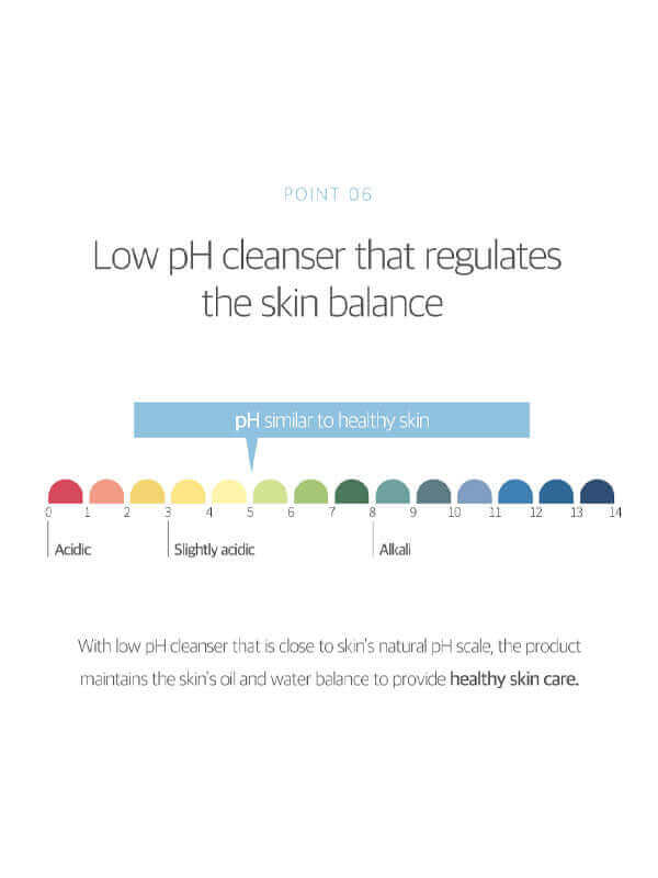 ROUND LAB 1025 Dokdo Bubble Foam 150ml Health & Beauty