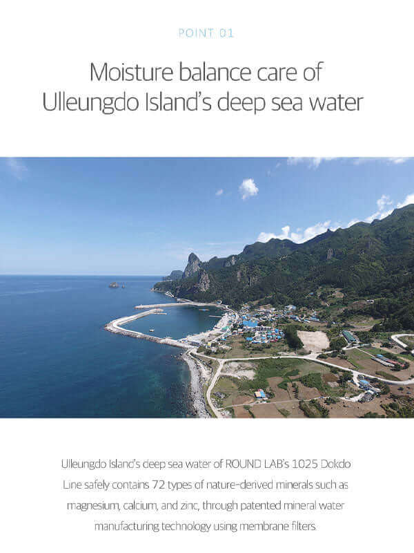 ROUND LAB 1025 Dokdo Bubble Foam 150ml Health & Beauty