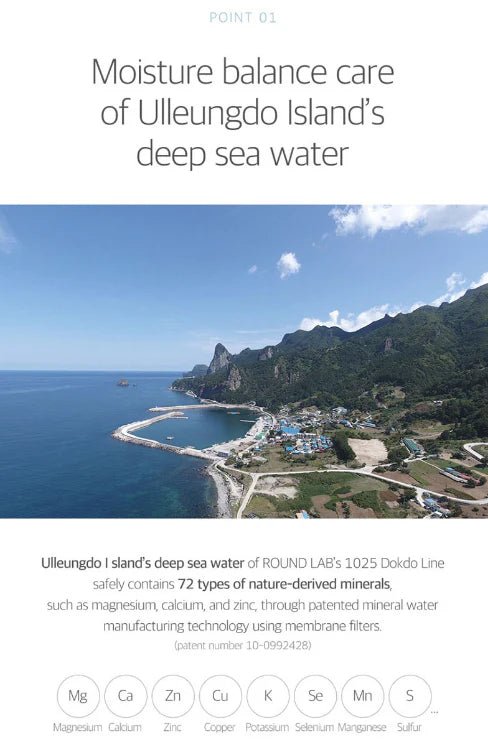 ROUND LAB 1025 Dokdo Mud Pack 100ml Health & Beauty