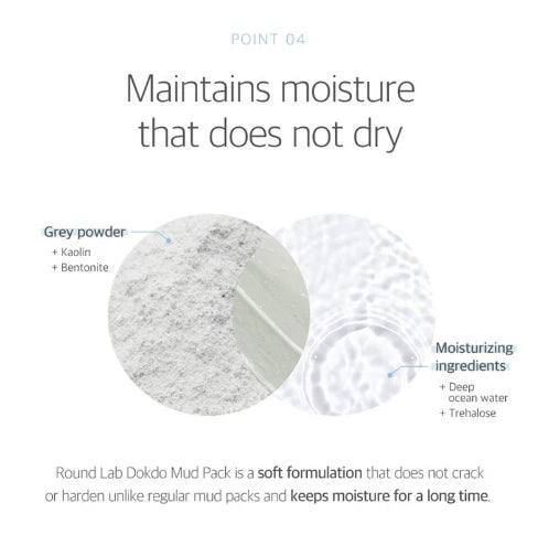 ROUND LAB 1025 Dokdo Mud Pack 100ml Health & Beauty
