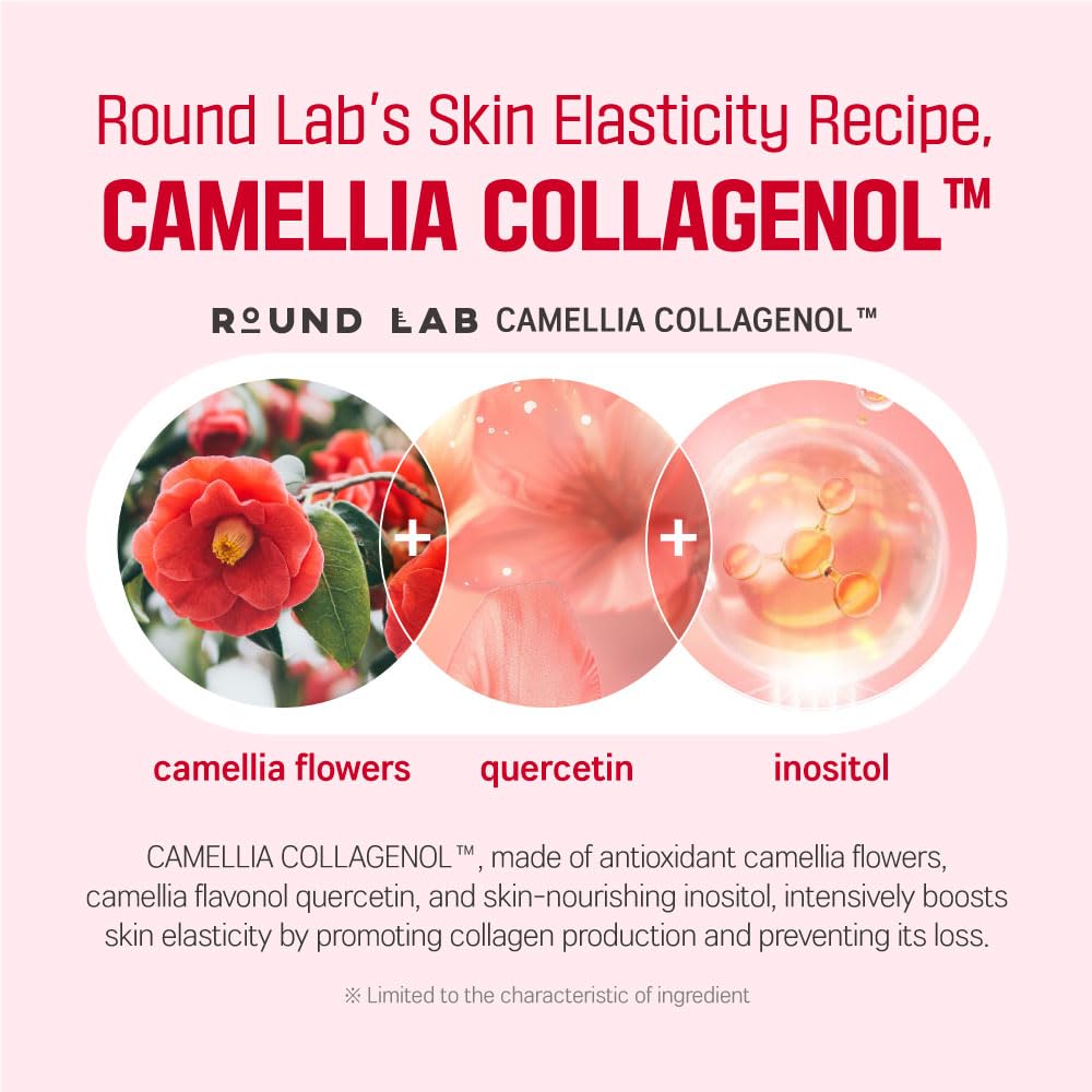 ROUND LAB Camellia Deep Collagen Firming Cream 50ml Health & Beauty