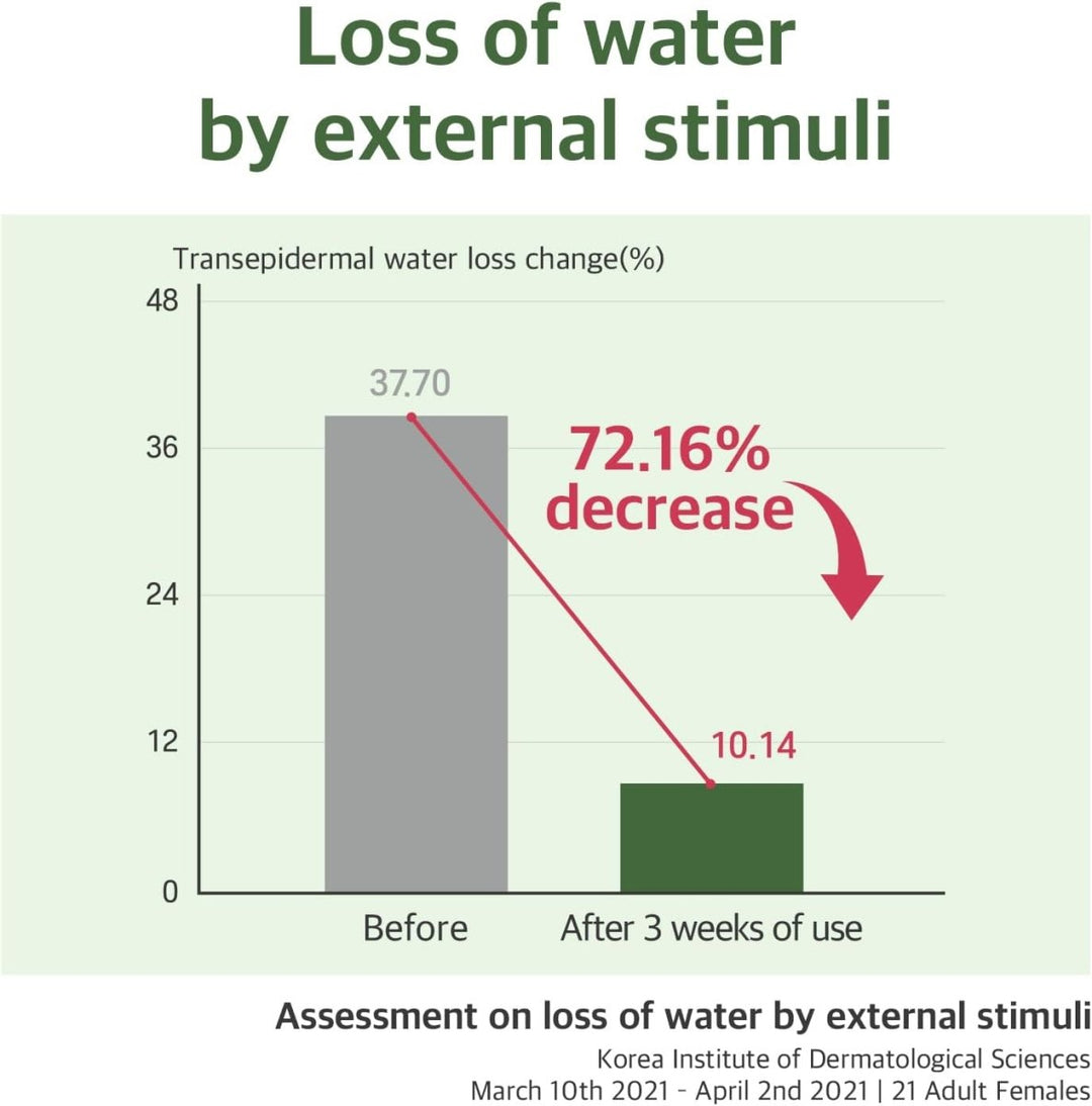 ROUND LAB Mugwort Calming Serum 50ml Health & Beauty