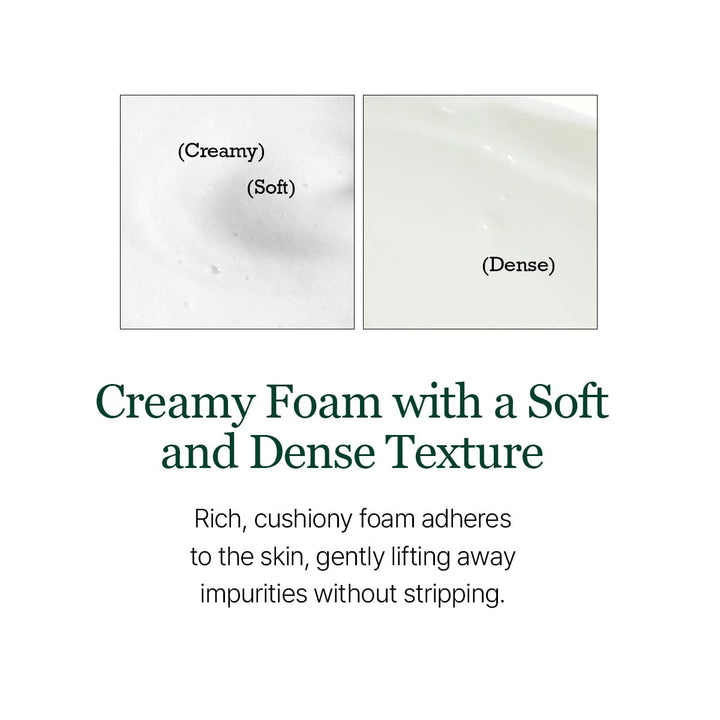 ROUND LAB Pine Calming Cica Cleanser 150ml Health & Beauty