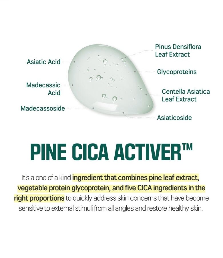 ROUND LAB Pine Calming Cica lotion 250ml Health & Beauty