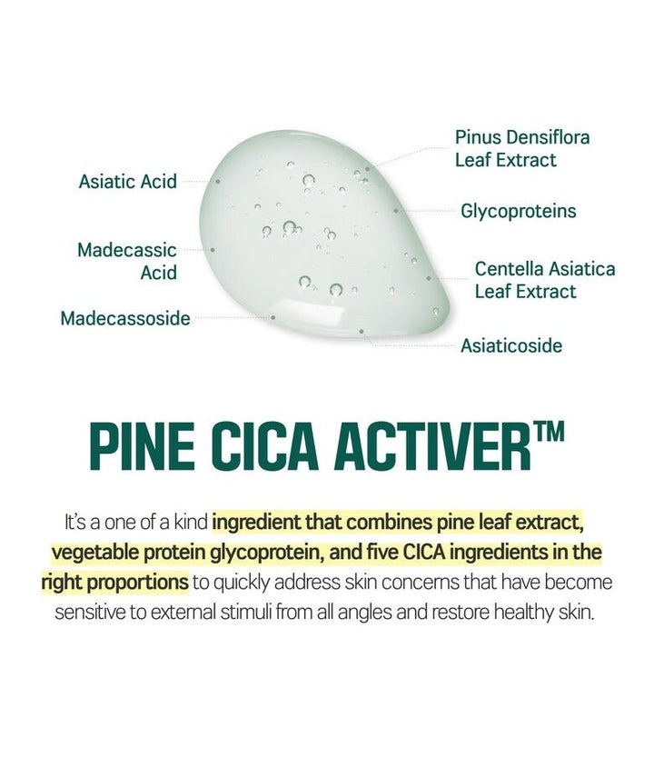 ROUND LAB Pine Calming Cica lotion 250ml Health & Beauty