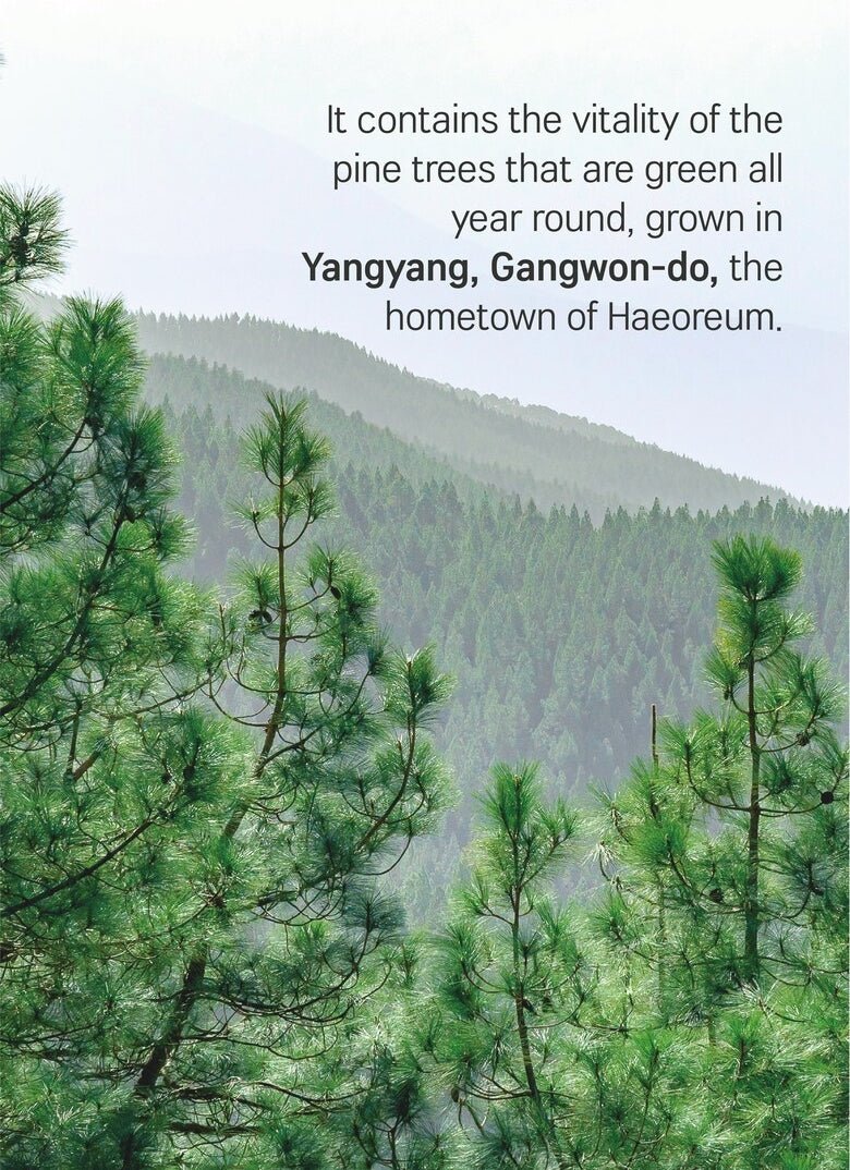 ROUND LAB Pine Calming Cica lotion 250ml Health & Beauty