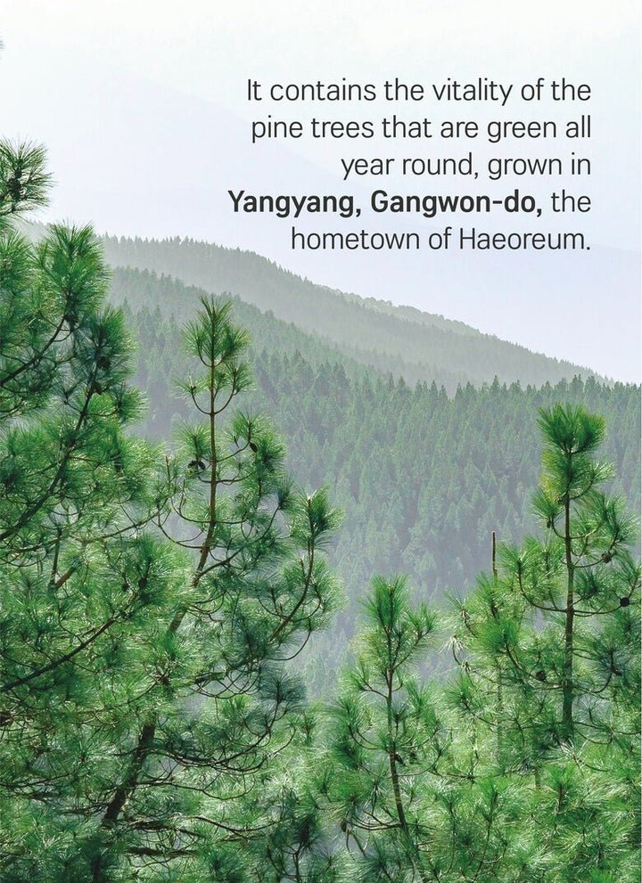 ROUND LAB Pine Calming Cica lotion 250ml Health & Beauty