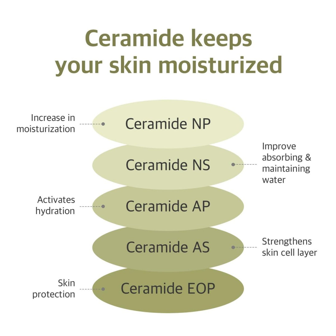 ROUND LAB Soybean Serum 50ml Health & Beauty