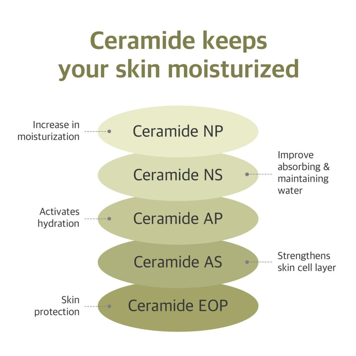 ROUND LAB Soybean Serum 50ml Health & Beauty