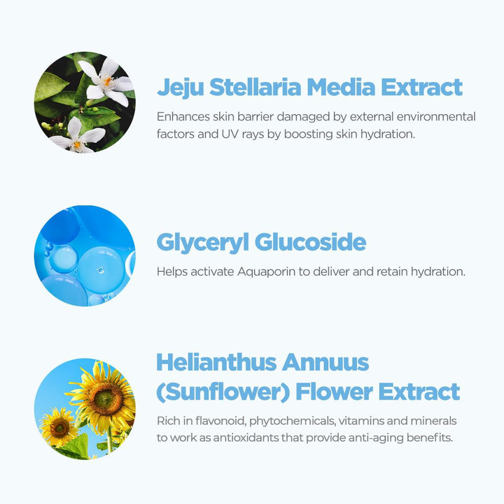 ROVECTIN Aqua Soothing Sun Cream SPF50+ PA++++ 50ml Health & Beauty Kbeauty markham toronto free ship USA asian korean