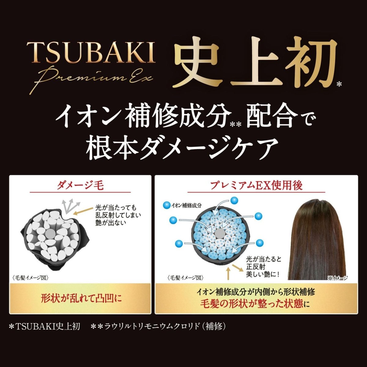 SHISEIDO Tsubaki Premium EX Intensive Repair Hair Set 400ml*2 Health & Beauty oceanbuy beauty markham toronto free ship USA asian korean skincare