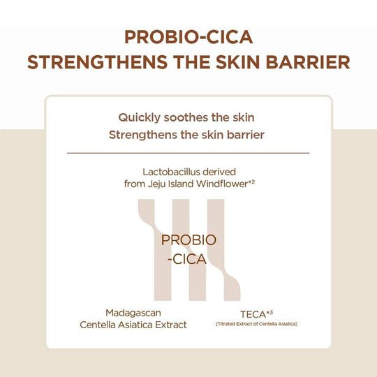SKIN1004 Madagascar Centella Probio - Cica Enrich Cream 50ml strengthens the skin barrier