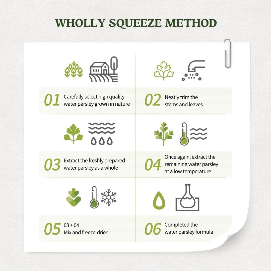 SKINFOOD Pantothenic Water Parsley Mask 1Pcs Health & Beauty oceanbuy.ca markham toronto free ship USA asian korean skincare