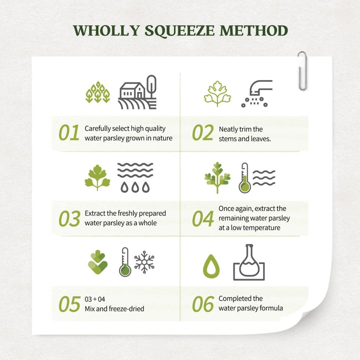 SKINFOOD Pantothenic Water Parsley Mask 1Pcs Health & Beauty oceanbuy.ca markham toronto free ship USA asian korean skincare