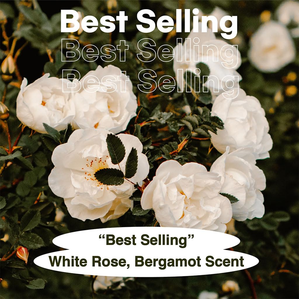 SKYBOTTLE Perfumed Body Lotion 300ml - White Rain Health & Beauty oceanbuy beauty markham toronto free ship USA asian korean skincare