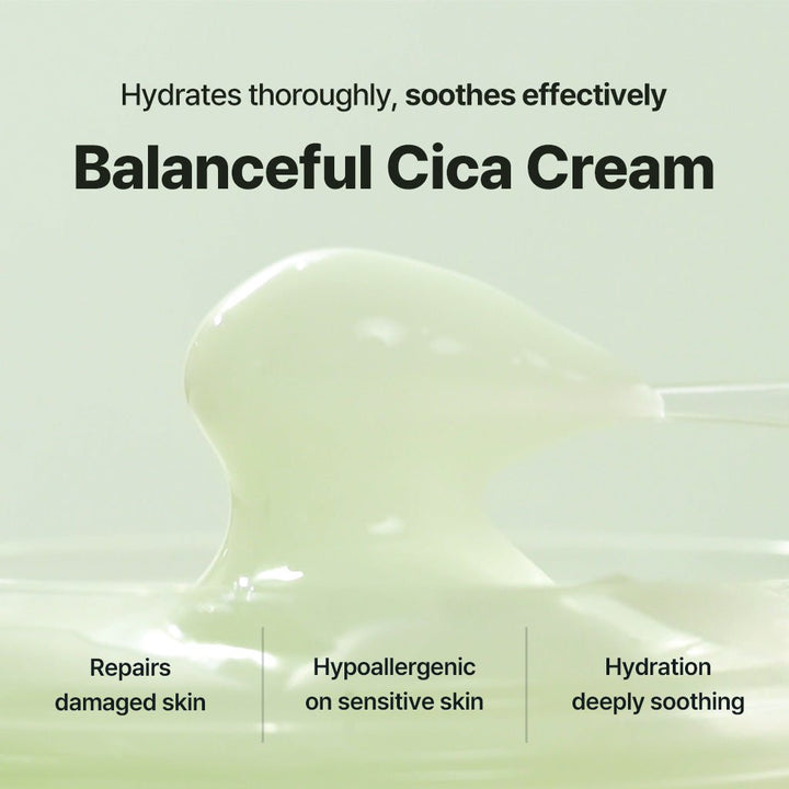 TORRIDEN Balanceful Cica Cream 80ml Health & Beauty oceanbuy.ca markham toronto free ship USA asian korean skincare