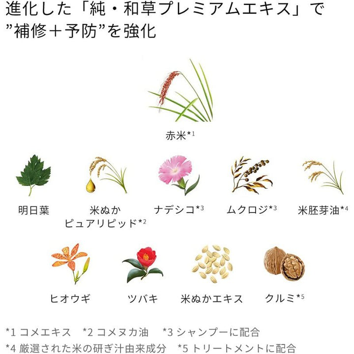 KRACIE ICHIKAMI Nameraka Smoothing Shampoo & Conditioner 480ml*2 Hair Care oceanbuy.ca markham toronto free ship USA asian korean skincare